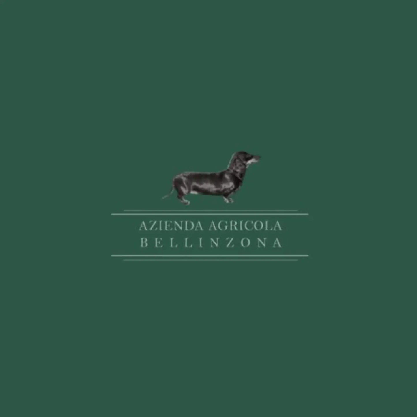 Chardonnay - Azienda Agricola Bellinzona