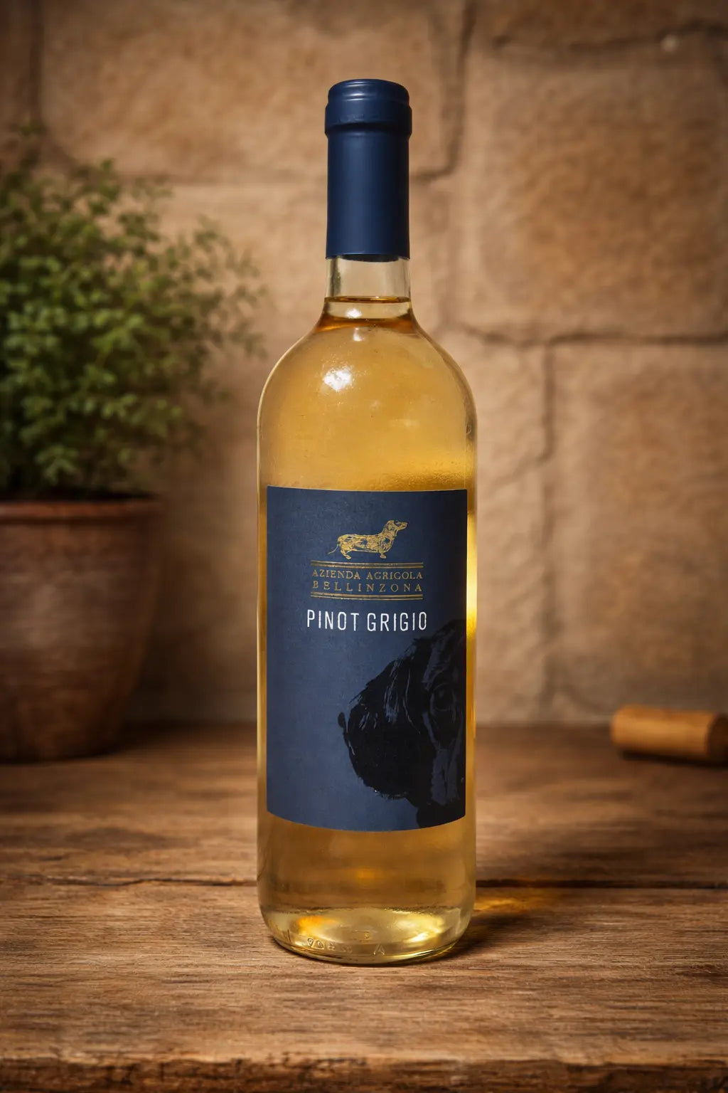 Pinot Grigio -  Azienda Agricola Bellinzona