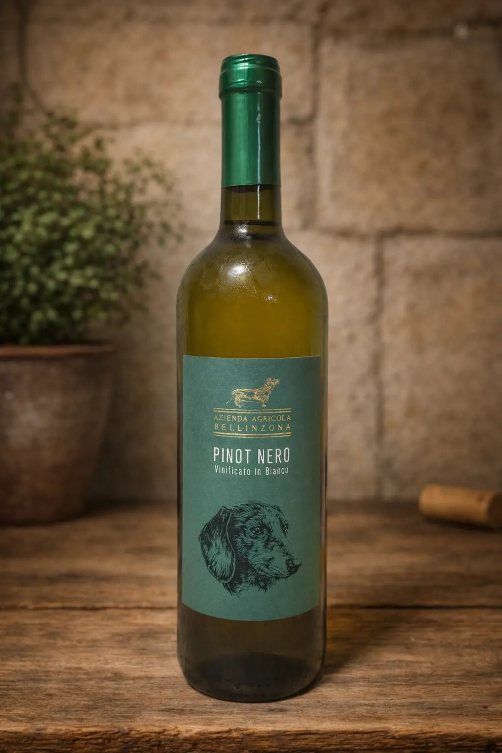 Pinot Nero, vinificato in bianco - Azienda Agricola Bellinzona