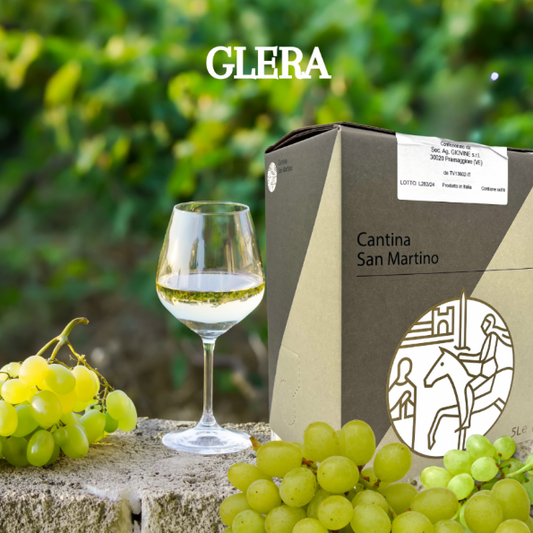 Glera 100% - Colli Trevigiani IGT - Vino Bianco Fermo in Bag in Box 5 Litri